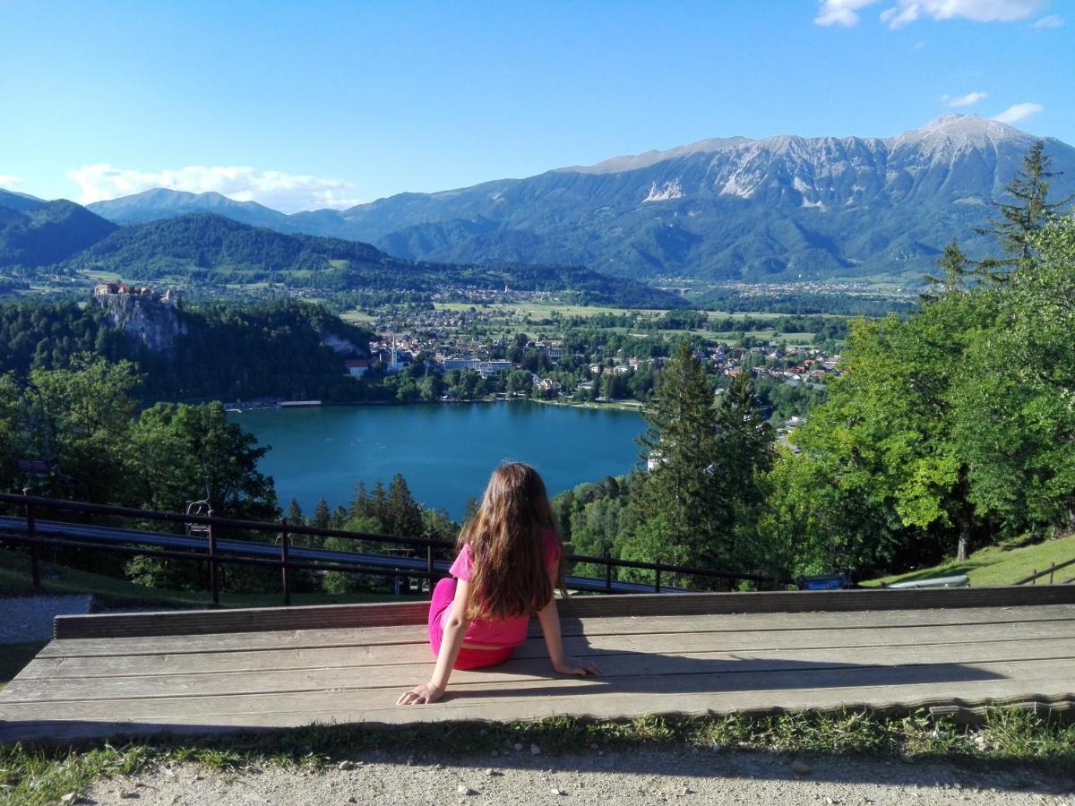 Apartma Carnica Bled Esterno foto